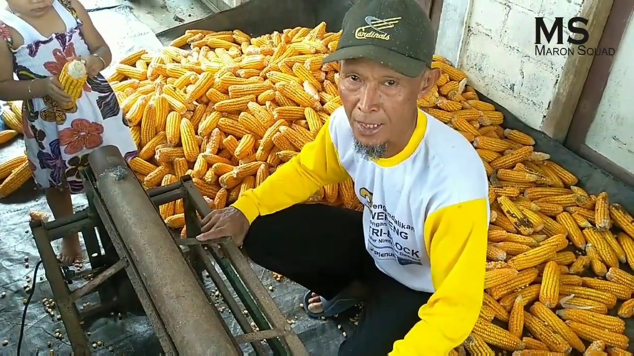 Cara kerja Mesin perontok jagung.(Episode.01)