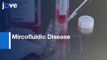 In Vitro Mircofluidic Disease model to study Blood Clot | Protocol Preview