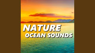 Ocean Sounds