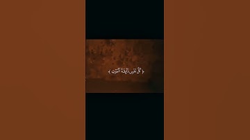 تلاوه خاشعه #تلاوة_خاشعة #اكسبلور #المصحف #duet #لايك #راحة_نفسية #المنشاوي_عبدالباسط_عبدالصمد_ماهر_