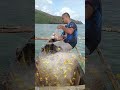 deto Mona Tayo naglaot sa tabi #fishing #fish