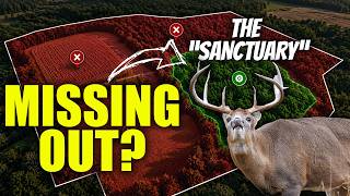 Why Most Deer Hunters Arent Killing Giant Bucks On Small Parcels