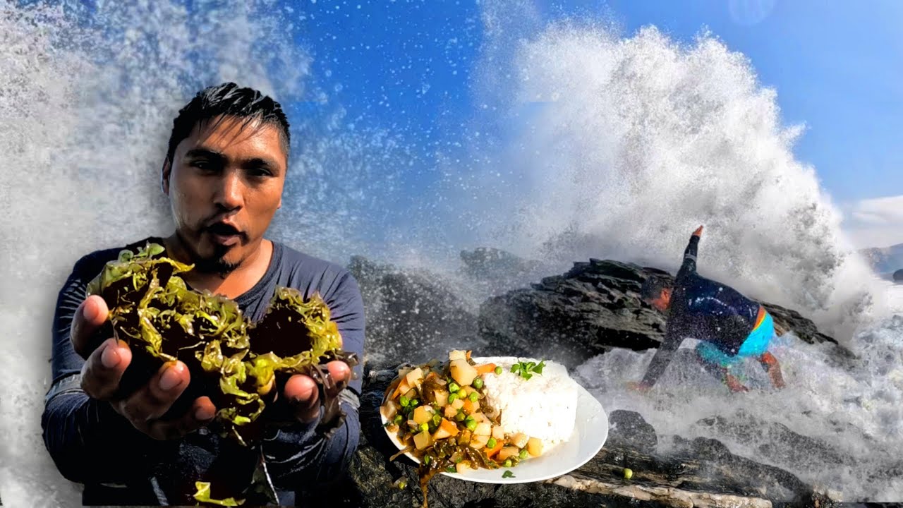 Arriesgué mi vida en EXTRACCIÓN de COCHAYUYO | Picante de Cochayuyo