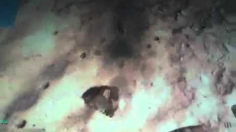 Automatic intervention in mw2