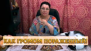 КАК ГРОМОМ ПОРАЖЕННЫЙ! ТАКОГО ОТ ТЕБЯ НЕ ОЖИДАЛ!