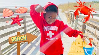 C4 Explores Seashells at the Seashore! | Educational Videos for Kids | Mindfulness Videos for Kids