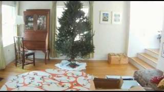 HAPPY HOLIDAYS 2011.mp4