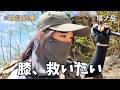 【検証】下山で膝が痛くなる塔ノ岳。登りからポールを使えば最後まで無敵説!?