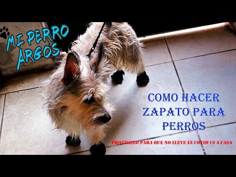 Video: Cómo Tejer Calcetines Para Perros