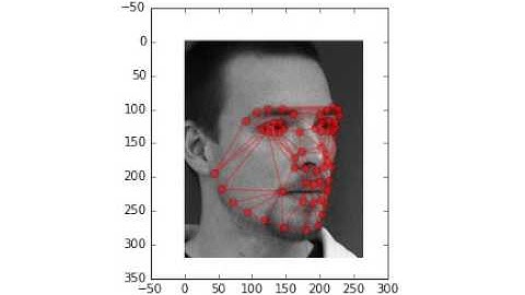Active Appearance Model on the IMM face database