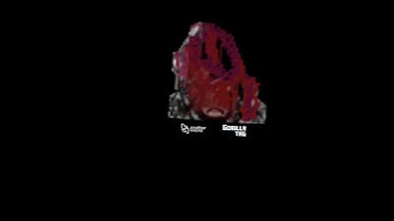 Weird gorilla tag boot up screen #scary