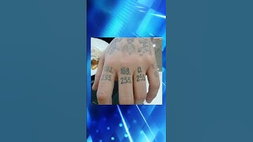 Programming memes, only humor #jokes #fy #fyp #soft #software #code #it #technology #git