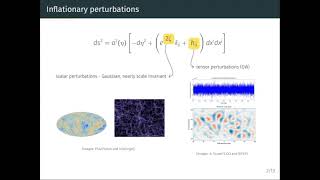 Gravitational wave anisotropies as a probe of the inflationary particle content