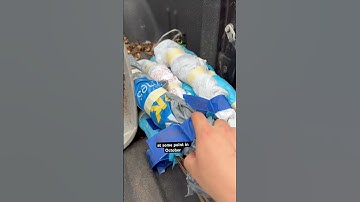 It’s officially bare root tree season! We have lots of bare root native trees