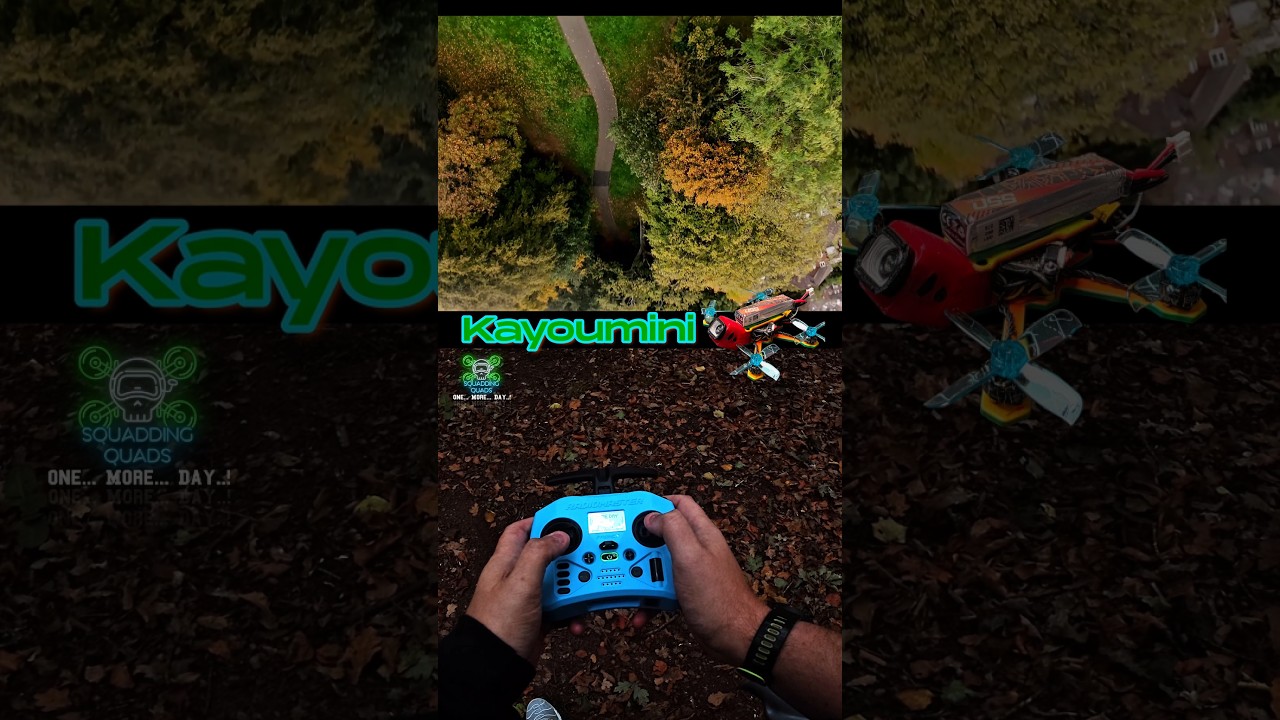 Разбил KayouMini во время первого полета… Всё прошло так хорошо 😭🌳