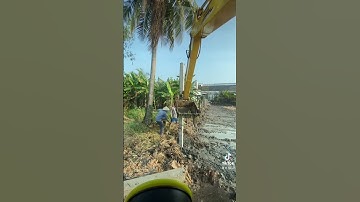 Cậm cọc beton 6 mét làm hàng rào