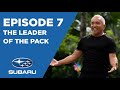 CESAR'S RECRUIT ASIA S3: EP.7 - THE LEADER OF THE PACK