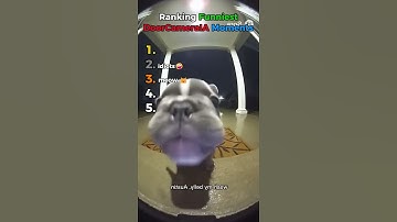 💀🤣 Top 5 grappigste AI-momenten met deurcamera