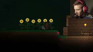 pewdiepie chasing bunny in terraria hIlarious 😁 😜 🤪😍 💁👀 #Shorts