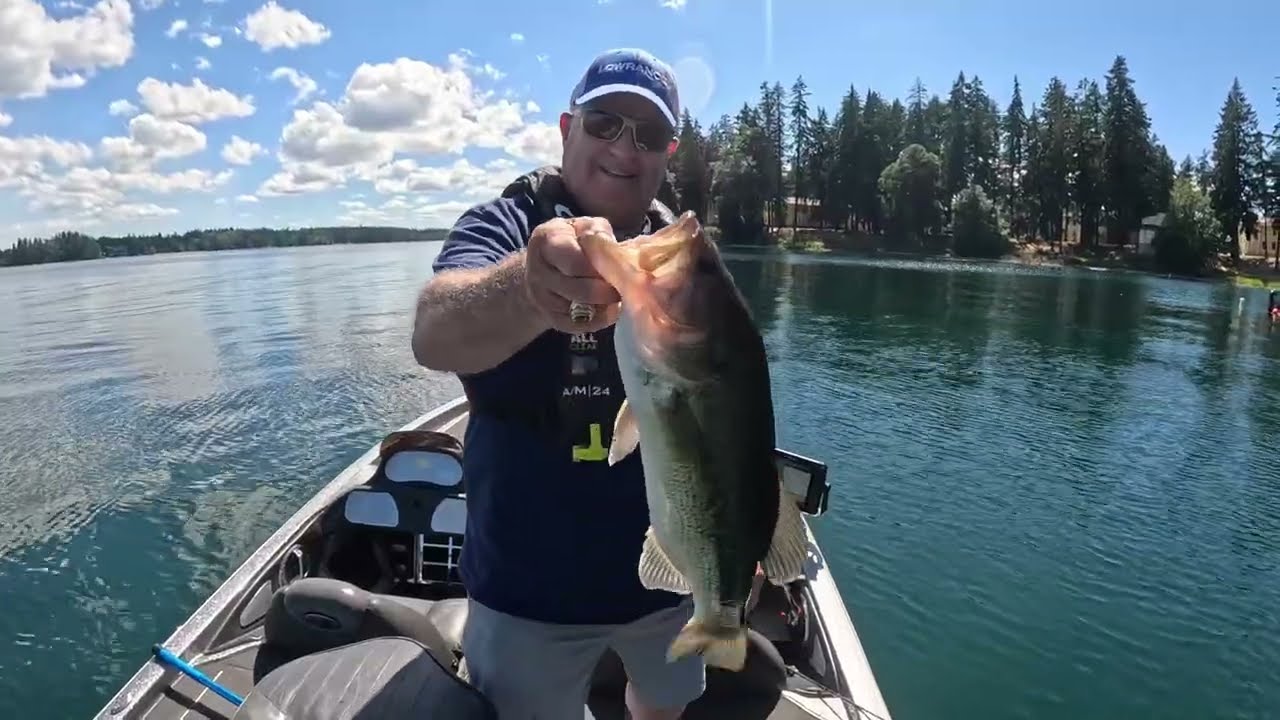 Big Bass Summer Beatdown