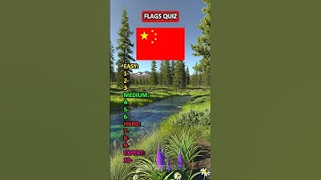 Can You Name These 10 Flags? #flag #quiz #flags #challenge #geography #geo #knowledge