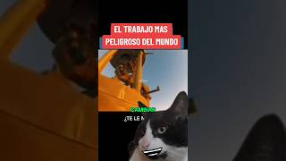 Solo lo más valientes pueden hacer este trabajo😱
