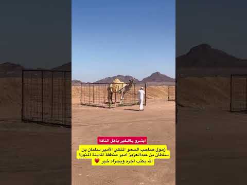 زمول صاحب السمو الملكي الأمير سلمان بن سلطان بن عبدالعزيز آل سعود