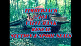 TIMBERJACK 240A VALVE BANK RESEAL - MONKEY BUSINESS 86