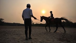 非诚勿扰 Part5 马术教练登场被赞有龙马精神 想带女友策马奔腾 140223 HD