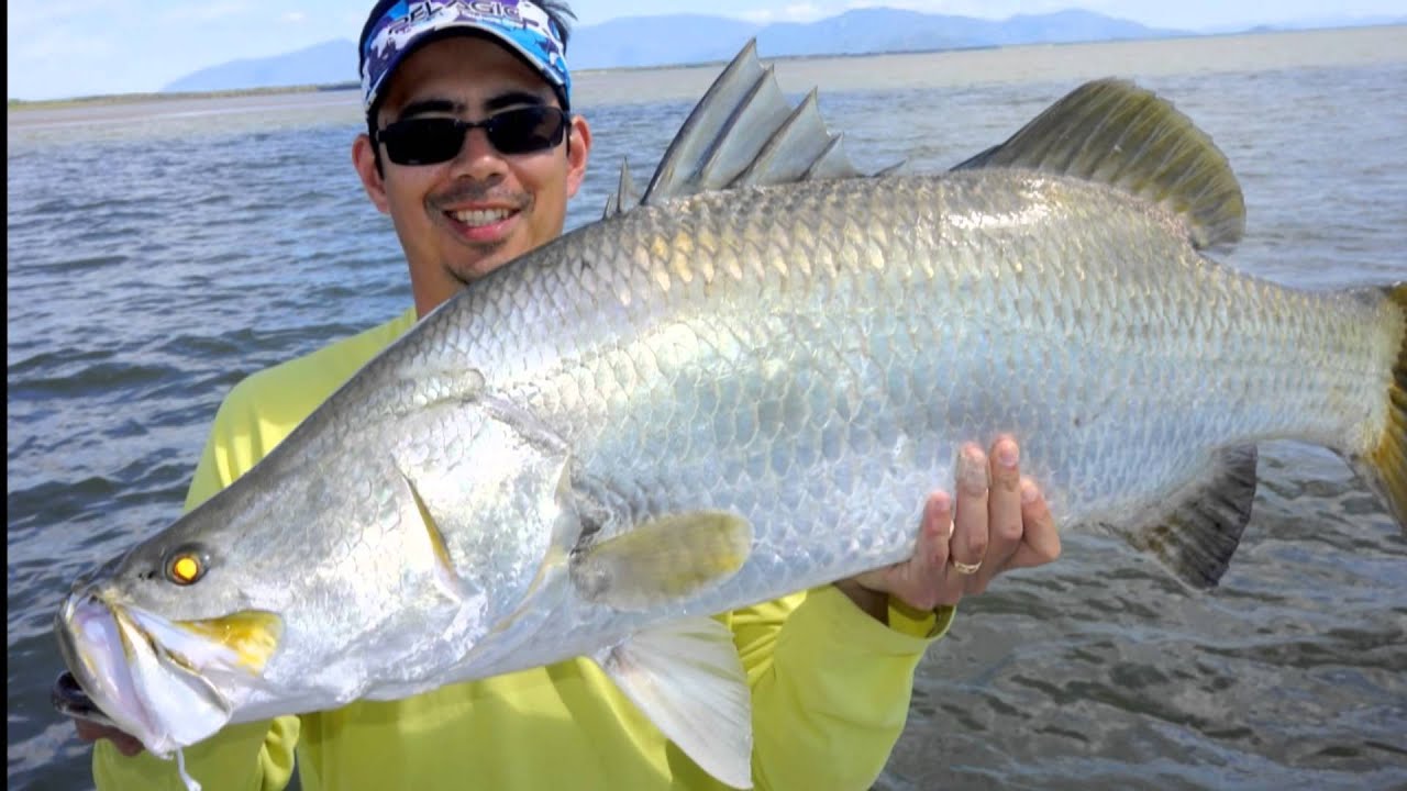 Giant Barramundi Fishing In Burdekin River Queensland Australia YouTube Giant Barramundi Fishing In Burdekin River Queensland Australia YouTube