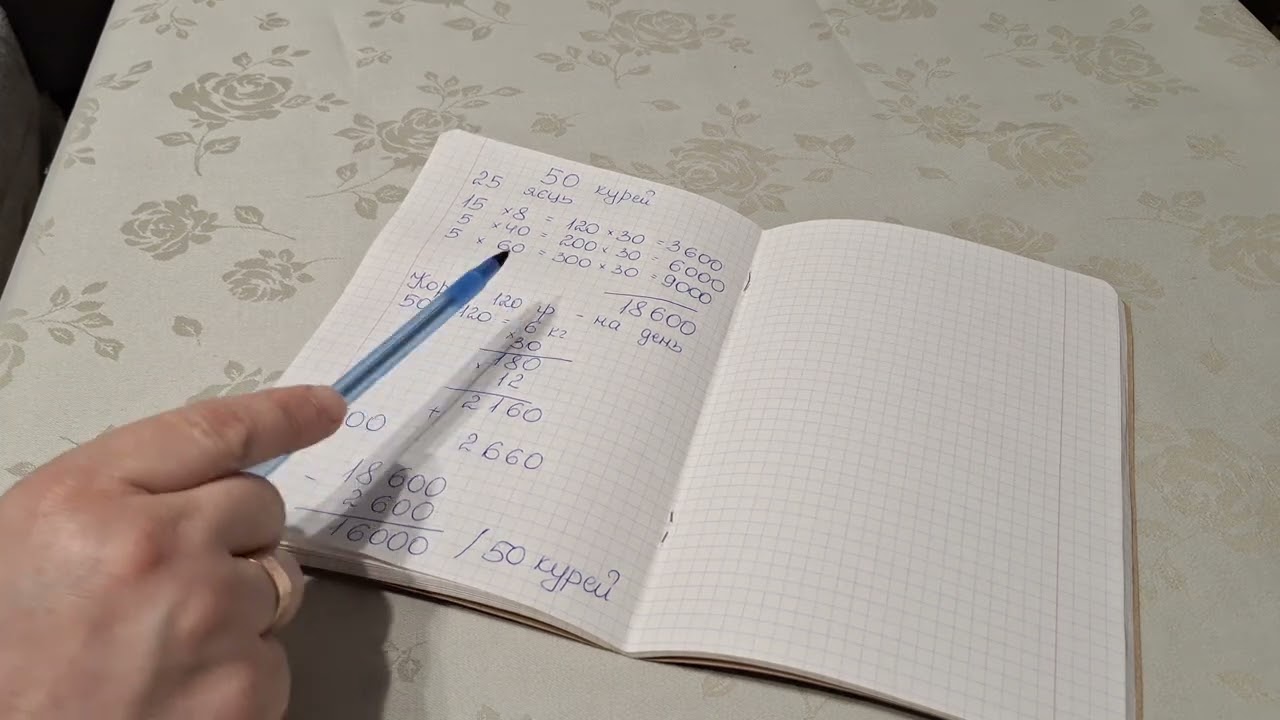 🔥Скільки реально заробляють на курах?#кури #домашнєгосподарство #яйця #підрахунок #село #