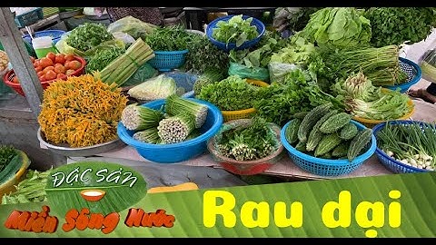 RAU DẠI - Vị ngon dân dã của quê nhà  | Đặc sản miền sông nước