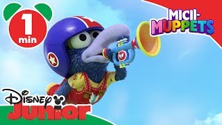 Micii-Muppets Disney Junior România Hai Să Ne Jucăm