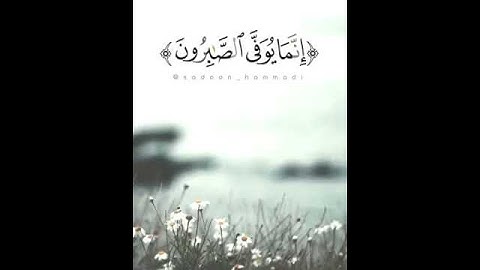 تلاوة خاشعة للشيخ سعدون حمادي