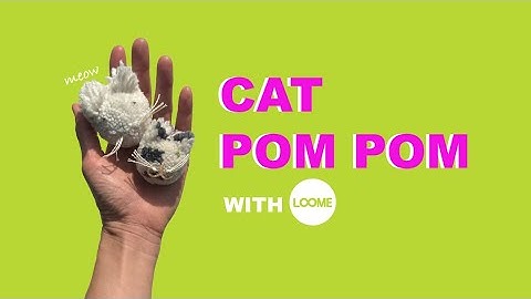 Cat Pom Pom