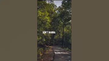 But Baby Don T Wanna Say Goodbye Lyrics Lyrics Billieeilish 