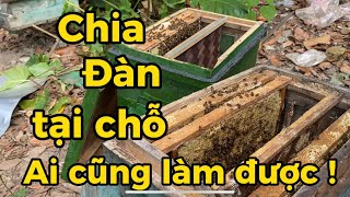 Chia đàn tại chỗ, để nhân giống đàn ong nhanh chóng! - Phần 2