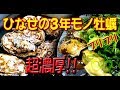 瀬戸内海、冬の味覚【３年モノ殻つき牡蠣】を買ってみた!! 岡山県日生町