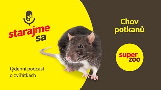 Chov potkanů | Podcast Super zoo