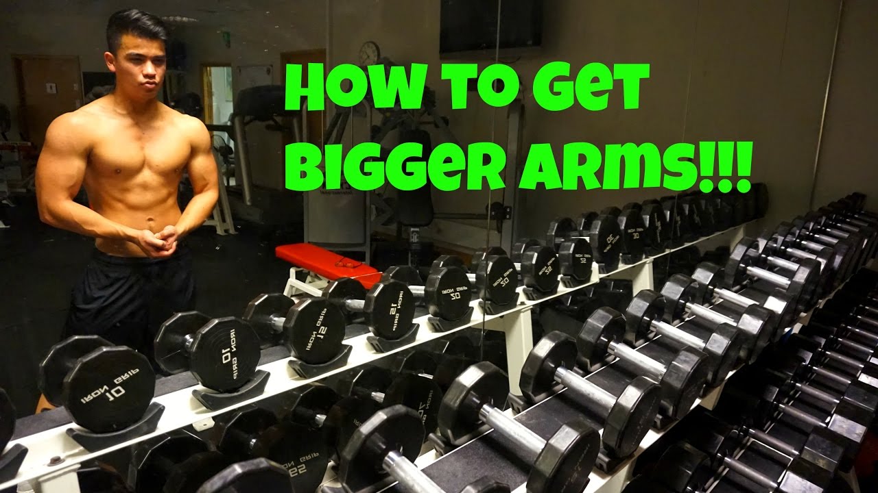 HOW TO GROW YOUR ARMS!!! | Arm Day Commentary - YouTube