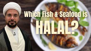 Which Fish & Seafood is Halal | Sheikh Mohammed Al-Hilli