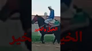 الخيل والخير