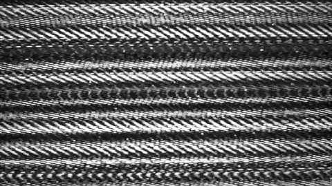 SCP-682 - Addendum 682-B