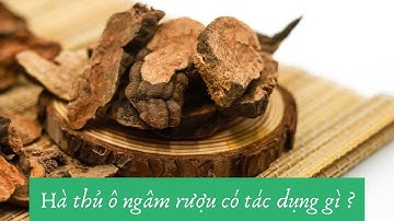 Hà thủ ô ngâm rượu có tác dụng gì? 3 tác dụng chính