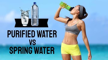 Purified Water VS Spring Water | Which Water Is The Best One? 🚰