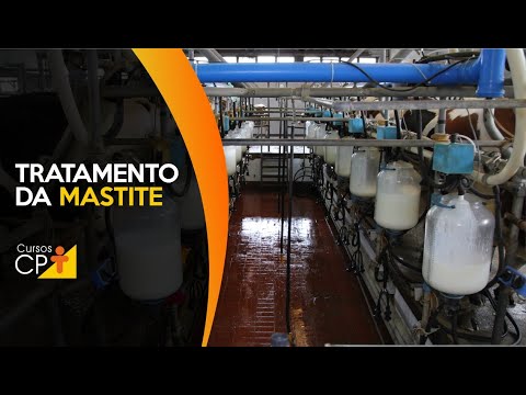 Como é feito o tratamento da mastite clínica