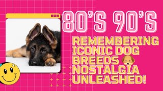 Forgotten Dog Breeds: Rediscovering 80s and 90s Canine Companions #dogs #dogsbreed #dogadventures by Dogs in Facts 224 views 8 months ago 5 minutes, 40 seconds