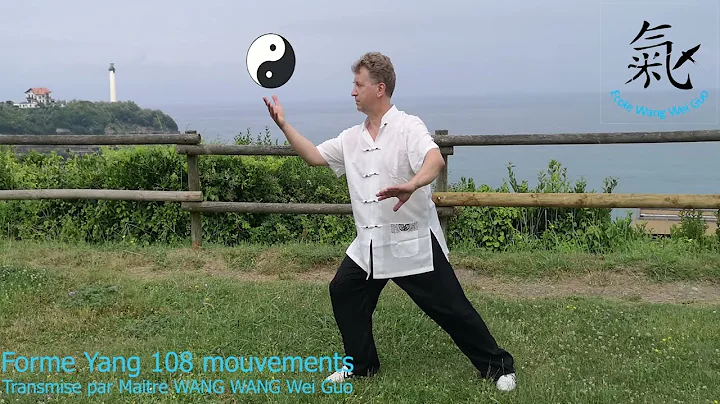Taijiquan forme Yang 108 mouvements - 1re partie