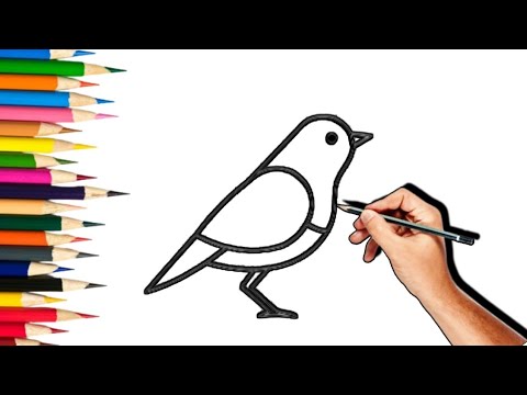 Outline drawing of bird to color, perfect for kids on Craiyon