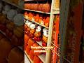 Code Orange pumpkins @hobbylobby #shorts #reels #pumpkin #pumpkins #codeorange #hobbylobby #fall